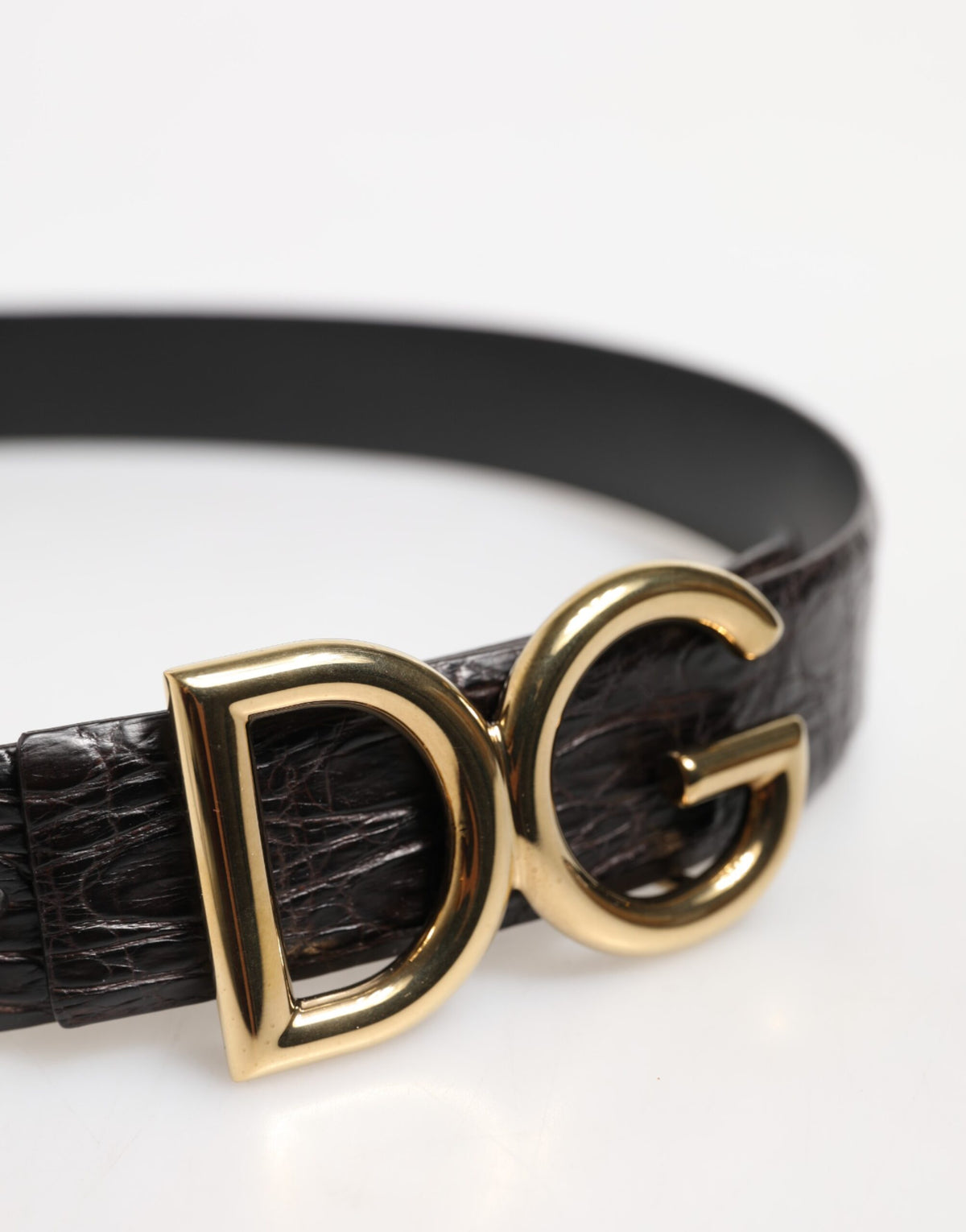 Pas Dolce & Gabbana iz eksotičnega črnega usnja z zaponko z logotipom DG